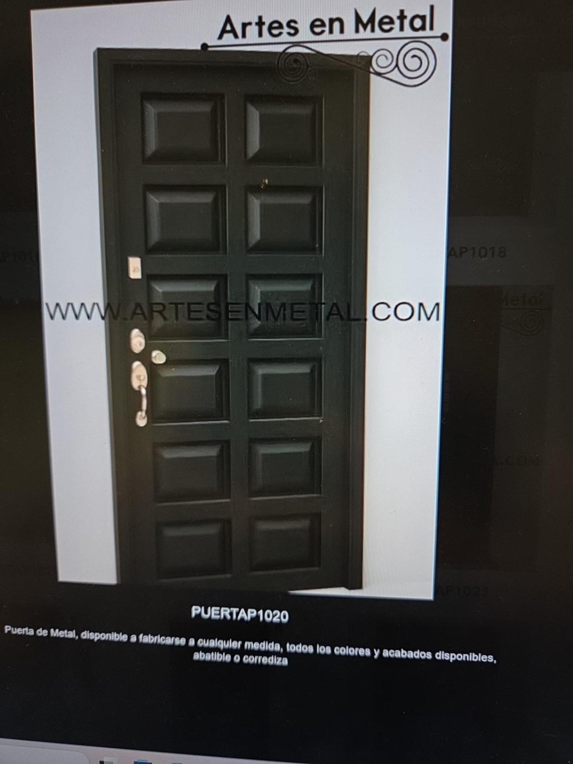 Referencia fotográfica de la puerta P1020